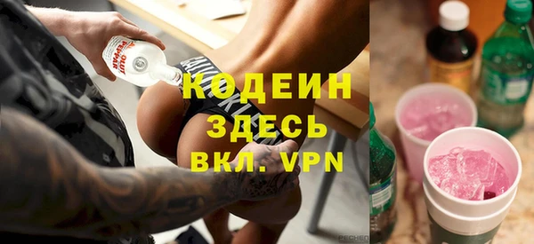 шишки Гусиноозёрск