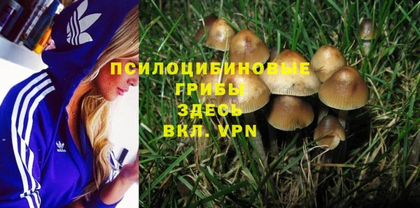шишки Гусиноозёрск