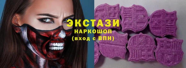 шишки Гусиноозёрск