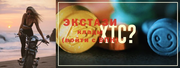 шишки Гусиноозёрск