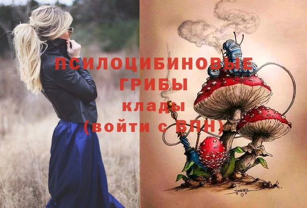 стаф Сясьстрой