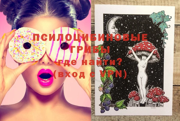 шишки Гусиноозёрск