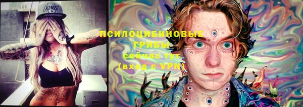 метамфетамин Гусев