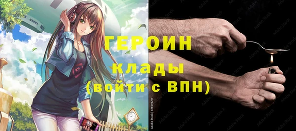 шишки Гусиноозёрск