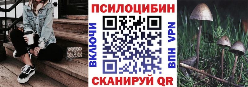 Псилоцибиновые грибы Psilocybe  Купить закладки  Приозерск 